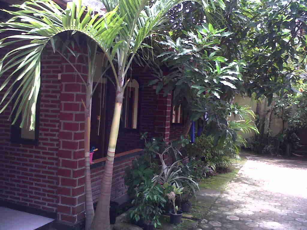 Rinjani Homestay Пангандаран Екстериор снимка